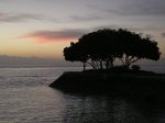 Thumbnail of ''