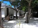 Bolifushi